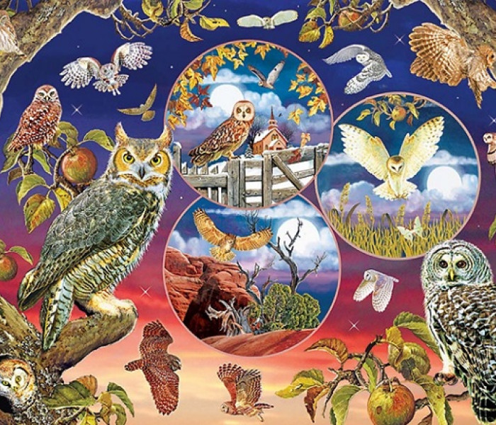 Puzzle - Cobble Hill - Bufnițe